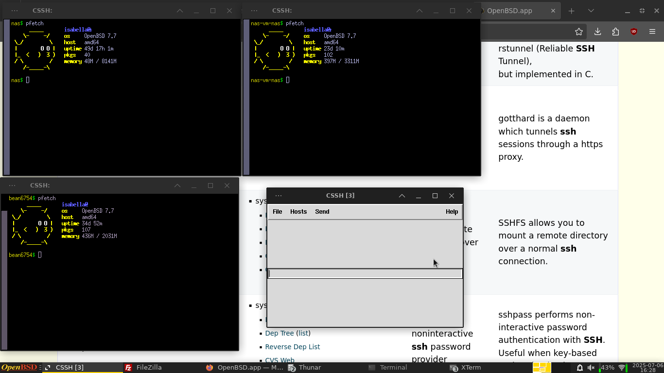 A busy screenshot of my laptop running XFCE 4.20 on OpenBSD 7.7